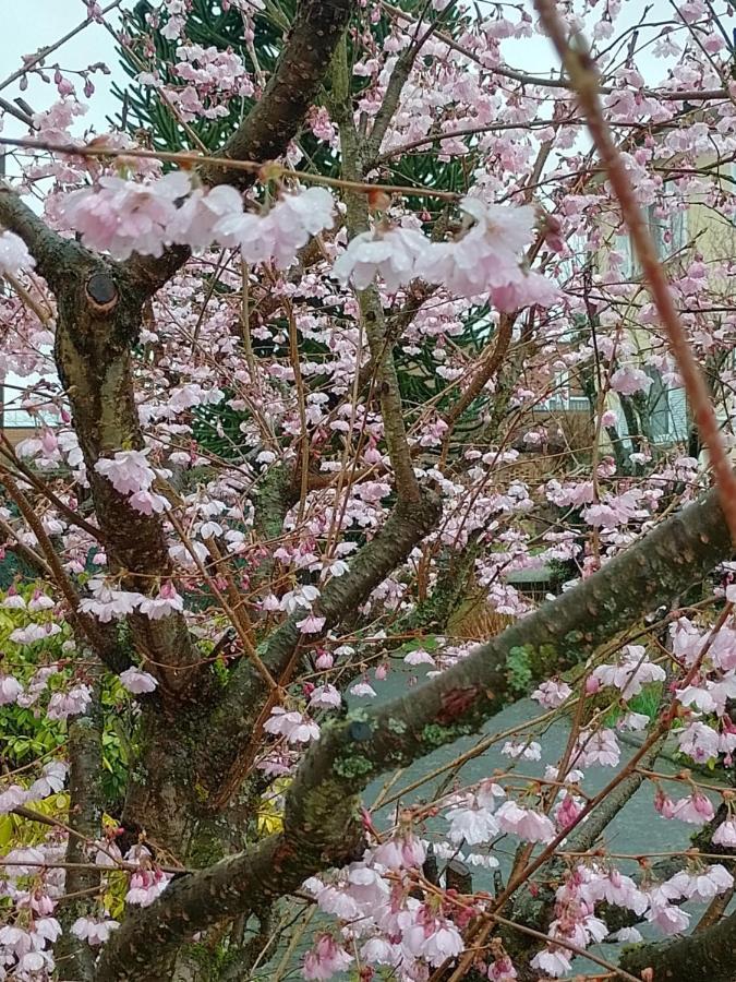 Wald Und Wiese ครอยซ์ตาล ภายนอก รูปภาพ