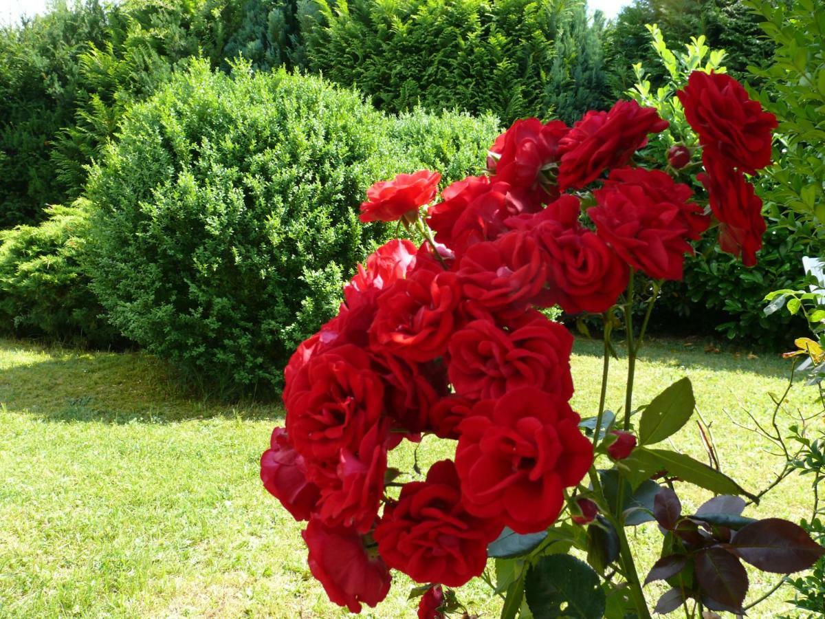 Wald Und Wiese ครอยซ์ตาล ภายนอก รูปภาพ